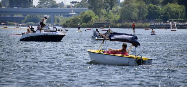 Auf der Alten Donau: Wenn Bootfahren zum Ballett wird