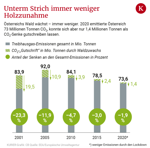 Klima: Warum der Wald immer weniger CO2 aufnimmt