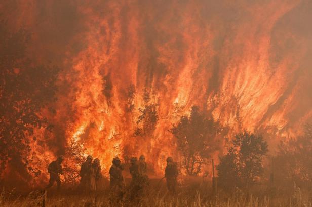 Waldbrände und Wasserknappheit: Massive Hitze und Dürre in Europa