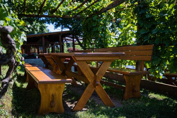 Ein Holztisch und Bänke stehen im Schatten eines Weinlaubengangs.
