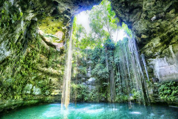 Eine Cenote mit türkisfarbenem Wasser und herabhängenden Pflanzen in Mexiko.