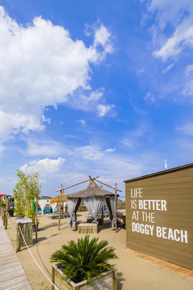 Ein Strand mit einem Pavillon und einem Schild mit der Aufschrift „Life is better at the Doggy Beach“.
