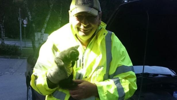 Ein ÖAMTC-Mitarbeiter hält ein gerettetes Kätzchen vor einem Auto.