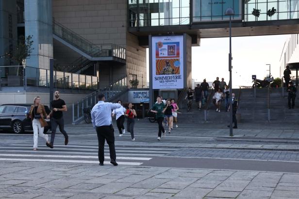 Kopenhagen: Drei Tote nach Schüssen in Einkaufszentrum