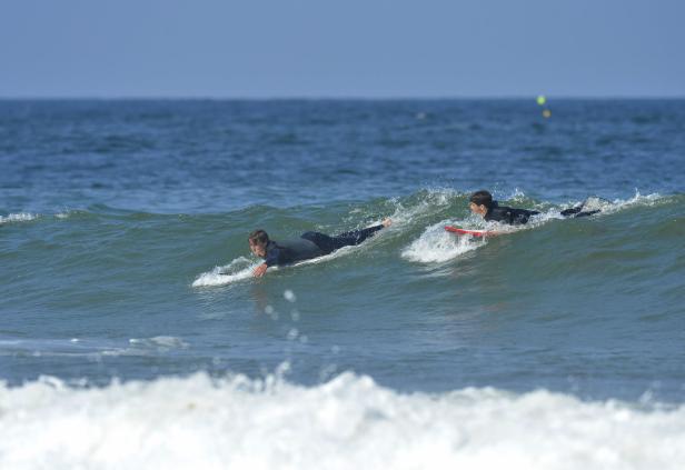 Haiunfälle: Warum Schwimmer häufiger sterben als Surfer