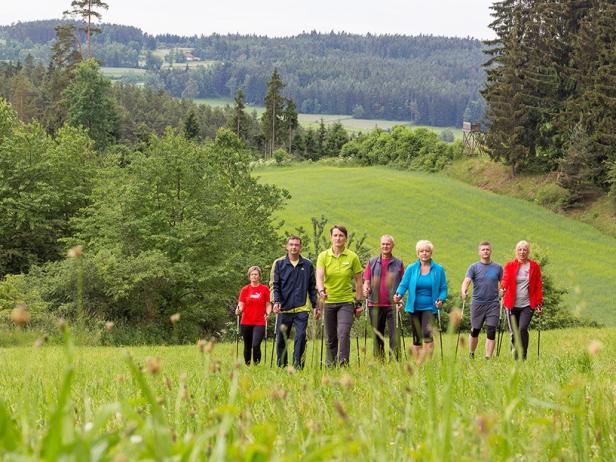 Eine Gruppe von Menschen geht mit Wanderstöcken durch eine grüne Landschaft.