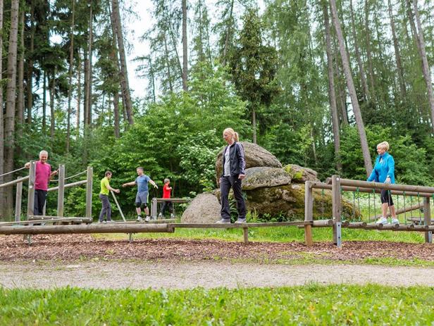 Eine Gruppe von Menschen balanciert auf einem Trimm-dich-Pfad im Wald.
