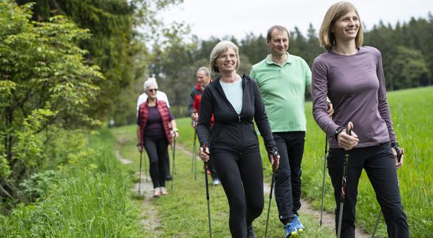 Eine Gruppe von Menschen geht mit Wanderstöcken durch eine grüne Landschaft.