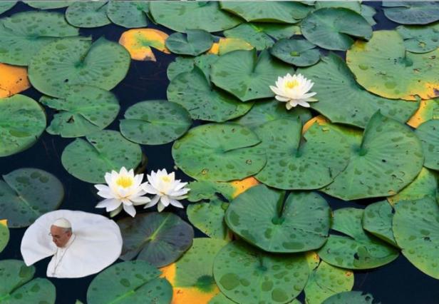 Papst Franziskus sitzt auf einem Seerosenblatt zwischen anderen Seerosenblättern und -blüten.