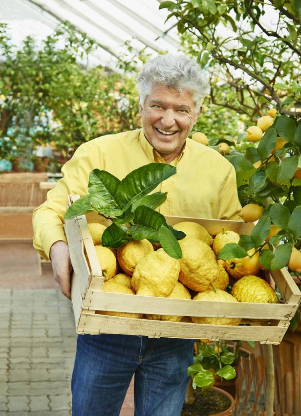Wo Haubenköche Zitronen kaufen: Vitamin C vom Faaker See