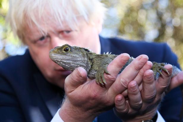Best of Boris: Ein Fotoalbum für den (wahrscheinlich neuen) Brexit-Premier