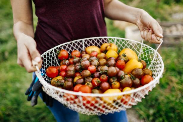 5 coole Lebensmittel bei Sommerhitze