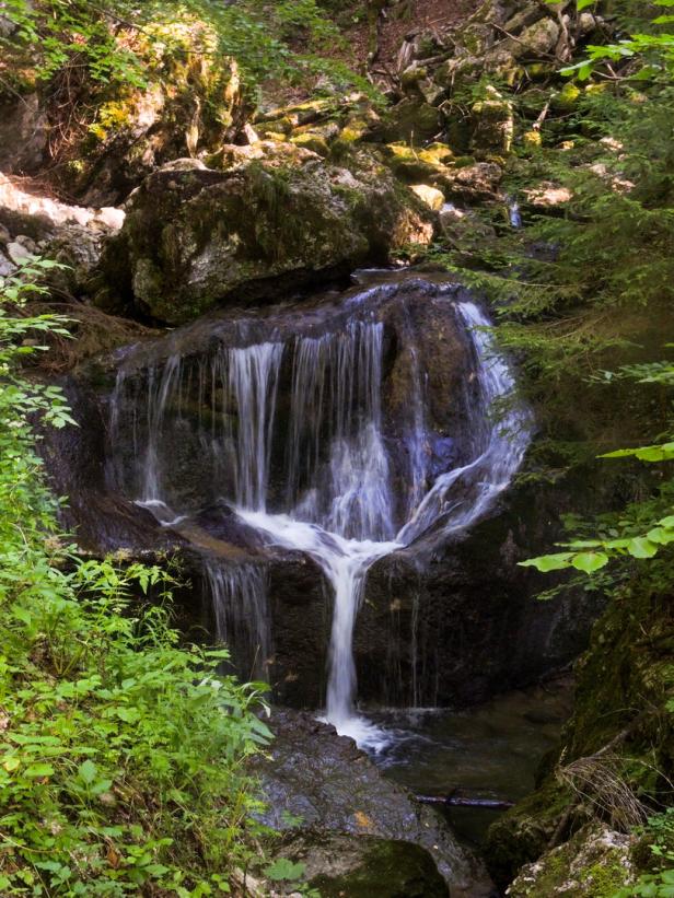 Wasserfälle in Niederösterreich: Dem wilden Wasser auf der Spur