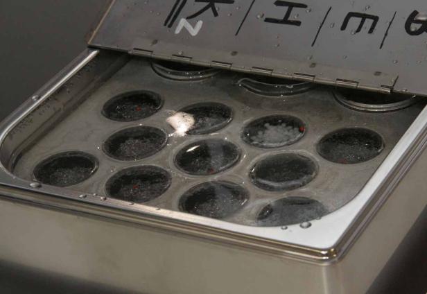 Eine Metallbox mit kleinen runden Behältern, einige gefüllt mit schwarzen und weißen Kügelchen.