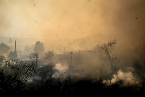Über 40 Grad: Portugal leidet unter Hitzewelle und Waldbränden