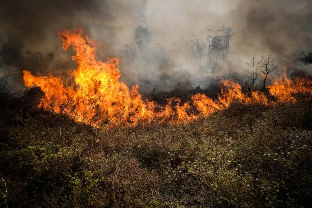 Über 40 Grad: Portugal leidet unter Hitzewelle und Waldbränden
