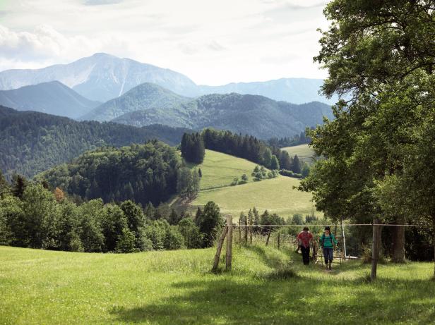 Zwei Wanderer durchqueren eine grüne Landschaft mit Bergen im Hintergrund.