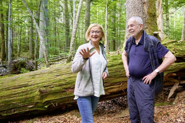 Bundespräsident besucht Wildnisgebiet: „Das ist kein Wahlkampf“