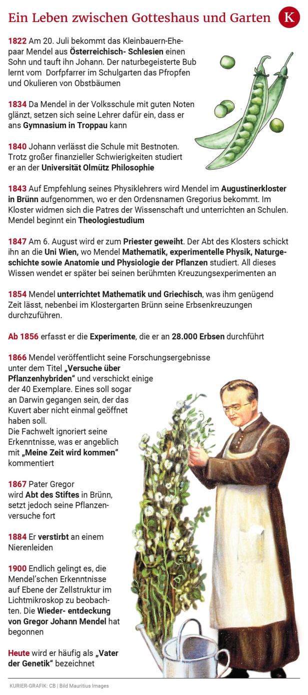Wie Gregor Mendel die Grundregeln der Genetik und die Welt ihn (wieder-)entdeckte