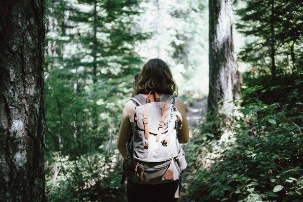 Lust auf Österreich_Waldspaziergang