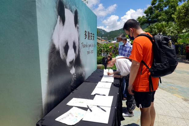 Ältester Riesenpanda der Welt in Hongkonger Zoo gestorben