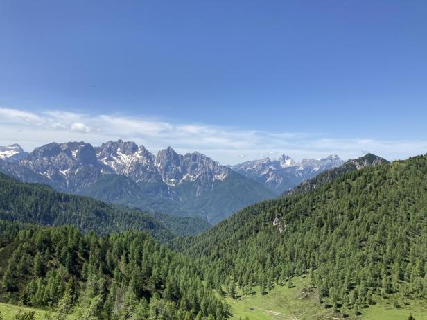 Blick auf bewaldete Hügel und schneebedeckte Berggipfel unter blauem Himmel.