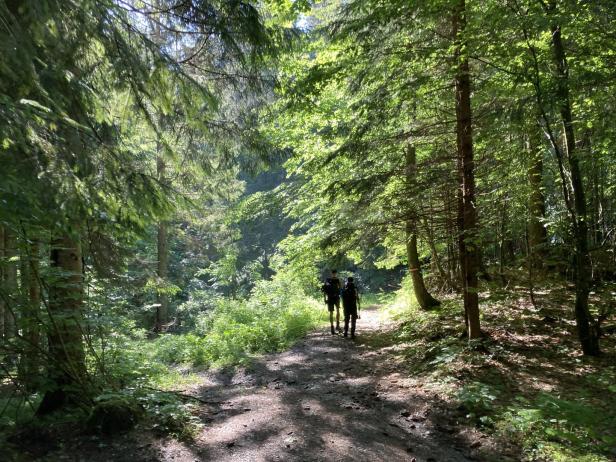 Über die Berge, über die Grenzen