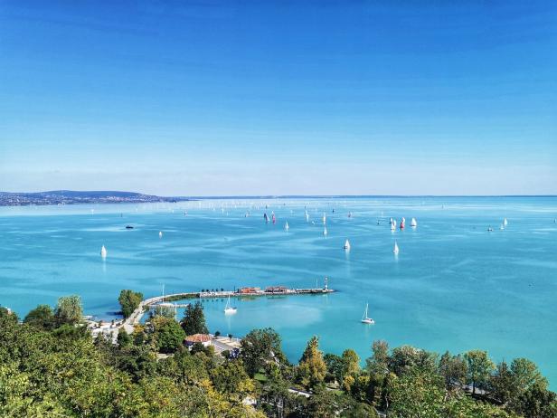 Viele Segelboote auf dem Balaton an einem sonnigen Tag.