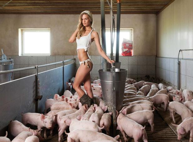 Die Motive des Jungbauernkalenders 2016