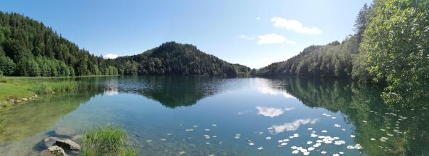 Ein stiller Bergsee mit bewaldeten Ufern und Seerosenblättern im Wasser.
