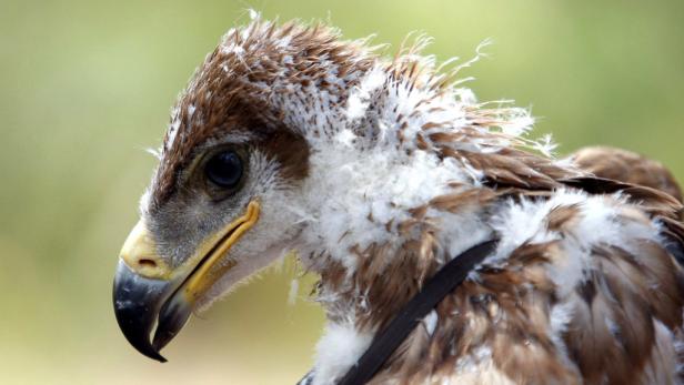 Europas schönste Naturparks