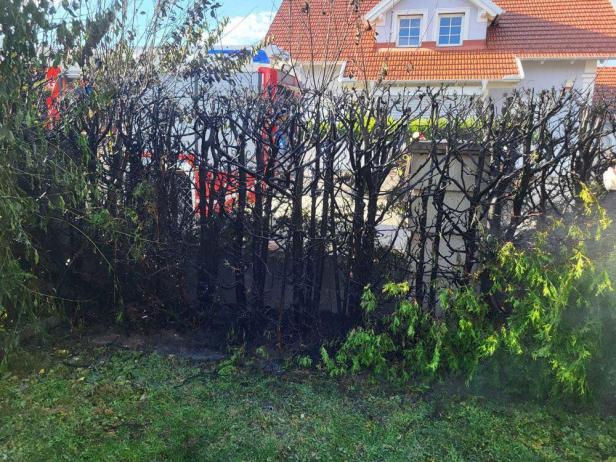 Brandeinsatz: Thujenhecke in Gneixendorf fing Feuer