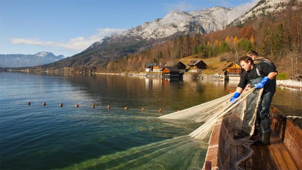 Bundesforste bauen Fischzucht massiv aus