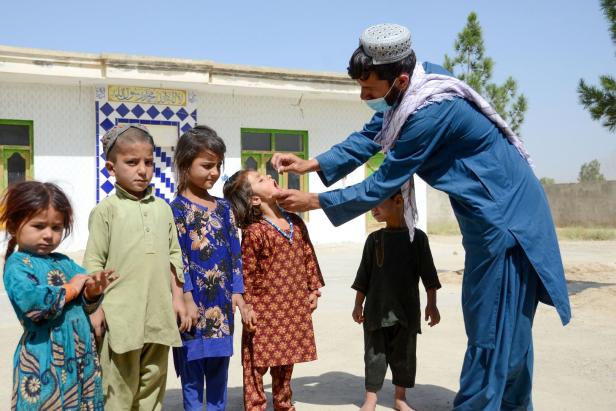 Polioviren in London: Kinderlähmung zurück in Europa