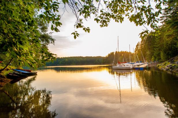 Mehrere Segelboote liegen an einem ruhigen See vor einem bewaldeten Ufer.