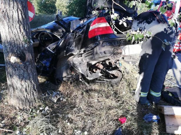 Auto krachte gegen Baum: Drei Kinder schwer verletzt