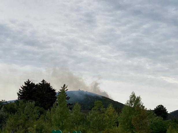 Großflächiger Waldbrand bei Bad Vöslau löst Großalarm aus