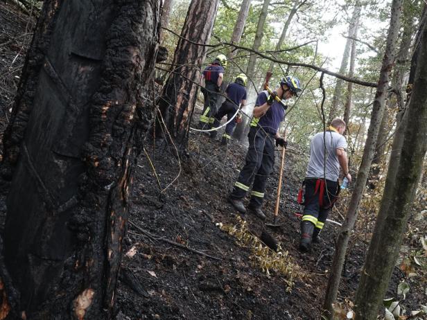 Großflächiger Waldbrand bei Bad Vöslau löst Großalarm aus