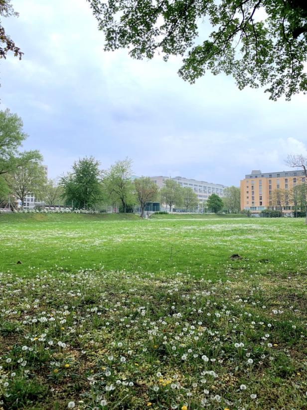 Bodenversiegelung: In Wien grünt es nicht mehr so grün