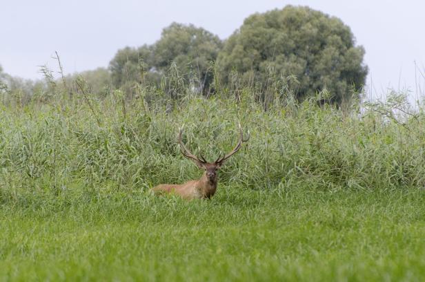 Europas Amazonas: Ein Radweg, fünf Länder und ein riesiger Biosphärenpark