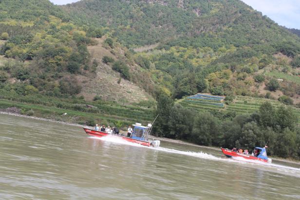 Finale Runde für Flutschutz an der Donau in Niederösterreich