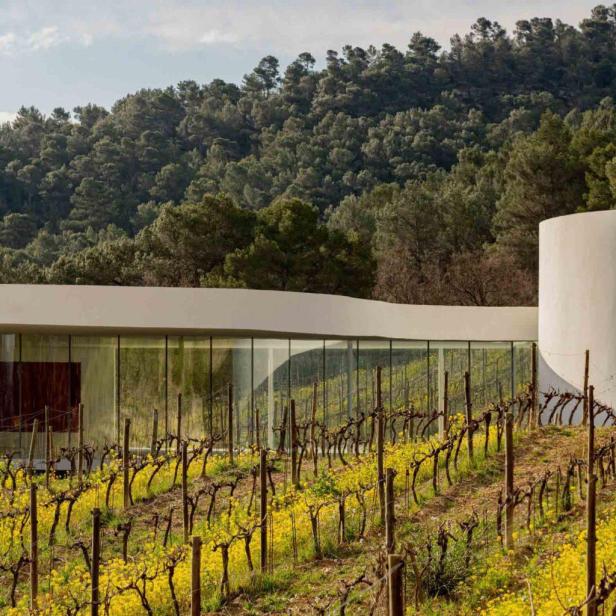 Ein Weinberg mit gelben Blumen vor einem modernen Gebäude mit Glasfassade.