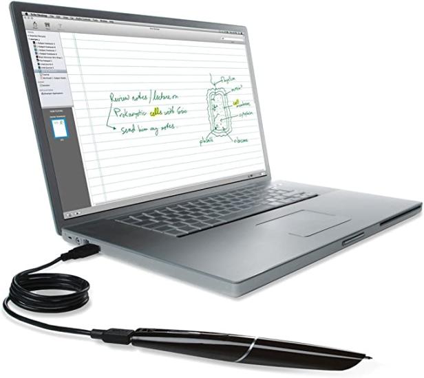 Ein Laptop zeigt Notizen und eine Skizze von prokaryotischen Zellen.