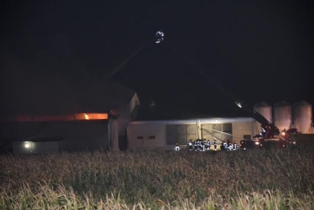Großbrand im Burgenland: Wirtschaftsgebäude in Leithaprodersdorf in Flammen