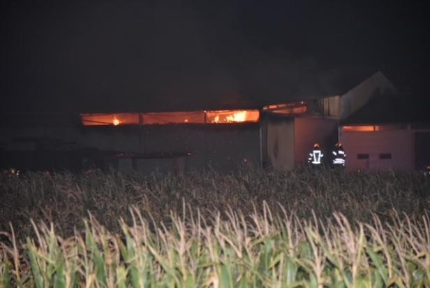 Großbrand im Burgenland: Wirtschaftsgebäude in Leithaprodersdorf in Flammen