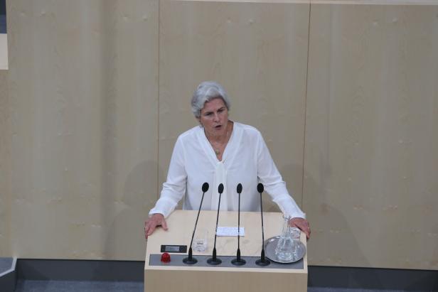 Diese sieben Frauen sind bisher bei der Hofburg-Wahl angetreten