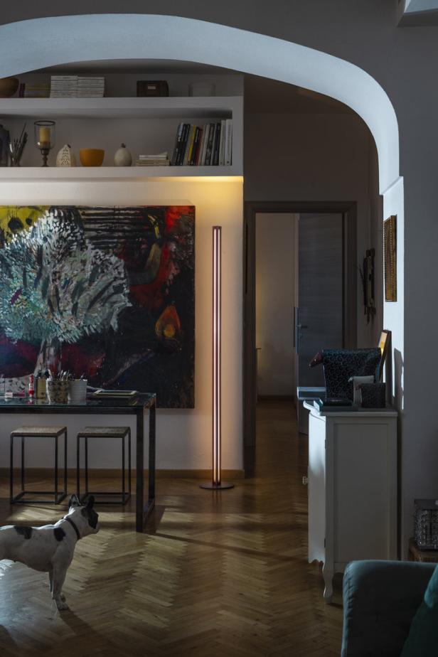 Ein Wohnzimmer mit einem abstrakten Gemälde, einer Stehlampe und einem Hund im Vordergrund.