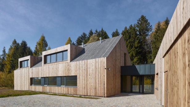 Ein modernes Holzhaus mit grauen Akzenten vor einem Waldgebiet.