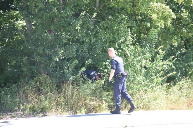 Mord in Oberwaltersdorf: Suchaktion nach der Tatwaffe