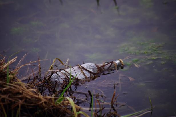 Glasflasche im Wasser